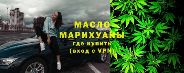 гидропоника Горнозаводск