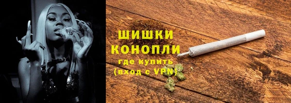 гидропоника Горнозаводск