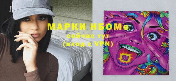 гидропоника Горнозаводск