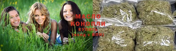 гидропоника Горнозаводск
