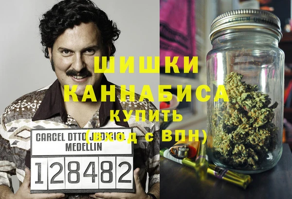 гидропоника Горнозаводск