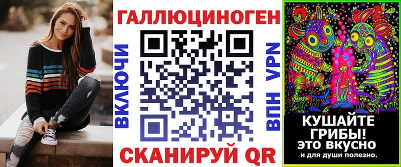 Псилоцибиновые грибы Cubensis  Ершов 